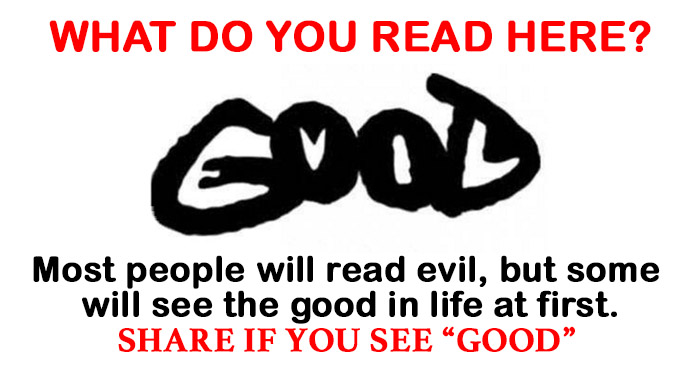 what-do-you-read-here
